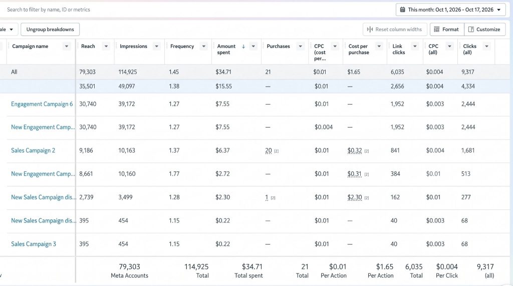 Meta Ads Results
